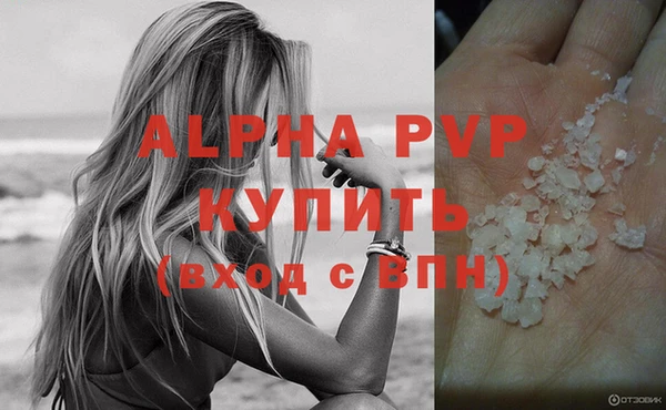 СК Абаза