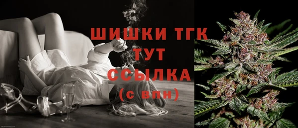 кокс Касимов