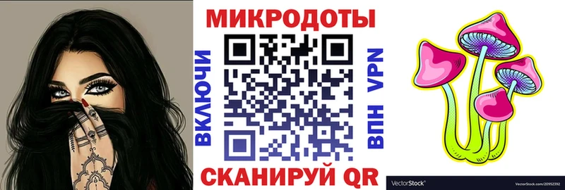 Псилоцибиновые грибы Psilocybine cubensis  Слюдянка 